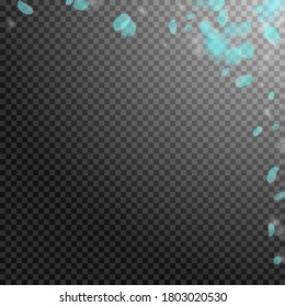 Turquoise flower petals falling down. Ecstatic romantic flowers corner. Flying petal on transparent square background. Love, romance concept. Adorable wedding invitation.
