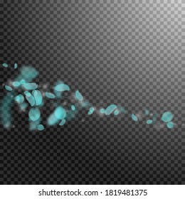 Turquoise flower petals falling down. Alive romantic flowers comet. Flying petal on transparent square background. Love, romance concept. Admirable wedding invitation.