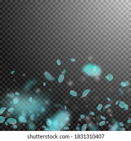 Turquoise flower petals falling down. Fancy romantic flowers gradient. Flying petal on transparent square background. Love, romance concept. Brilliant wedding invitation.