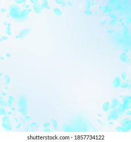 Turquoise flower petals falling down. Exceptional romantic flowers vignette. Flying petal on blue sky square background. Love, romance concept. Creative wedding invitation.