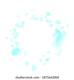 Turquoise flower petals falling down. Cute romantic flowers vignette. Flying petal on white square background. Love, romance concept. Curious wedding invitation.