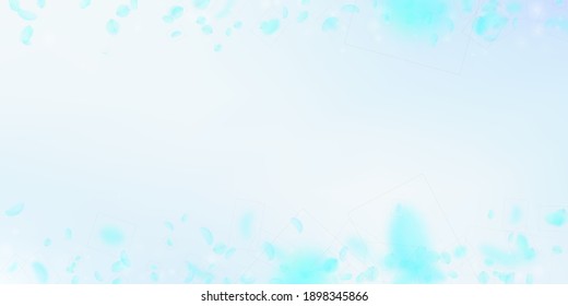 Turquoise flower petals falling down. Beauteous romantic flowers border. Flying petal on blue sky wide background. Love, romance concept. Decent wedding invitation.