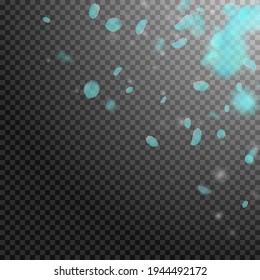 Turquoise flower petals falling down. Breathtaking romantic flowers corner. Flying petal on transparent square background. Love, romance concept. Amusing wedding invitation.
