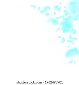 Turquoise flower petals falling down. Divine romantic flowers corner. Flying petal on white square background. Love, romance concept. Appealing wedding invitation.
