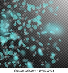 Türkisfarbene Blütenblätter fallen ab. Frische romantische Blumen Farbverlauf. Fliegendes Blütenblatt auf transparentem, quadratischem Hintergrund. Liebe, Liebeskonzept. Kleine Hochzeitseinladung.