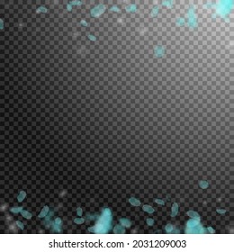 Turquoise flower petals falling down. Appealing romantic flowers borders. Flying petal on transparent square background. Love, romance concept. Actual wedding invitation.