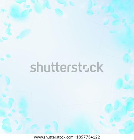 Turquoise flower petals falling down. Exceptional romantic flowers vignette. Flying petal on blue sky square background. Love, romance concept. Creative wedding invitation.