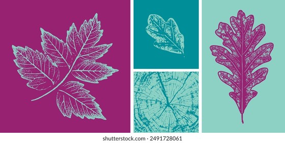  Turquoise, plum, pink, teal botanical leaf illustration elements. Decorative leaves prints or leaf art.
