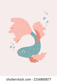 Turquoise and red aquarium betta fish vector illustration. Oriental poster design