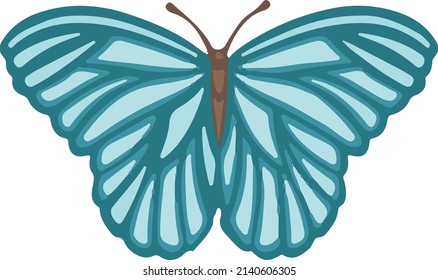 Turquoise spring butterfly moth symbol, illustration vector
