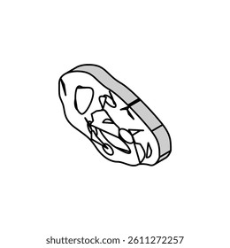 turquoise stone rock isometric icon vector. turquoise stone rock sign. isolated symbol illustration