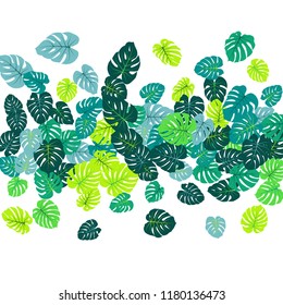 Turquoise tropical jungle leaves vector scatter. Philodendron or monstera plant summer background. Hawaiian jungle plants tropical foliage pattern. Floral design with monstera leaves on white.
