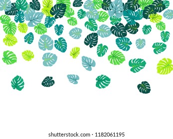 Turquoise tropical jungle leaves vector scatter. Philodendron or monstera plant summer background. Closeup jungle plants tropical foliage pattern. Floral design with monstera leaves on white.
