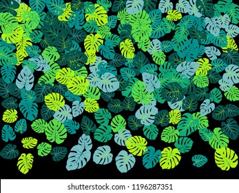 Turquoise tropical jungle leaves vector scatter. Philodendron or monstera plant summer background. Cute jungle plants tropical foliage pattern. Greenery design with monstera leaves on black.