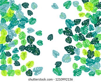 Turquoise tropical jungle leaves vector scatter. Philodendron or monstera plant summer background. Cute jungle plants tropical foliage pattern. Floral design with monstera leaves on white.