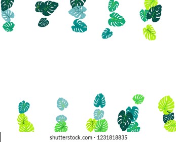 Turquoise tropical jungle leaves vector scatter. Philodendron or monstera plant summer background. Awesome jungle plants tropical foliage pattern. Floral vector with monstera leaves on white.