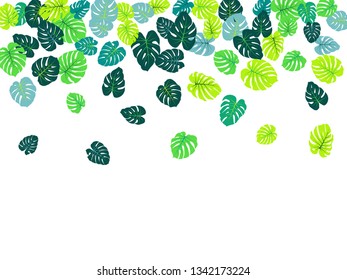 Turquoise tropical jungle leaves vector scatter. Philodendron or monstera plant summer background. Paradise jungle plants tropical foliage pattern. Floral graphics with monstera leaves on white.