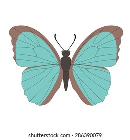 Turquoise vector butterfly on a white background.