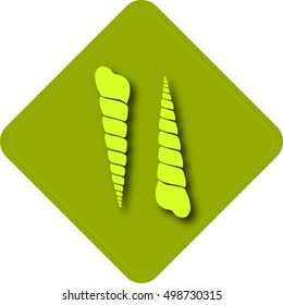 Turritela icon