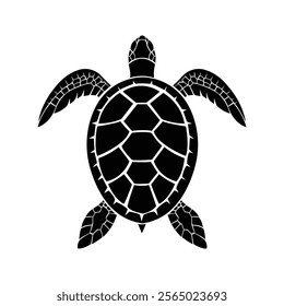 turtie tortoise selotte vector design