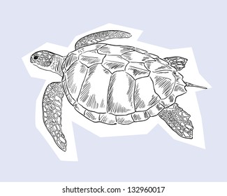 Turtle