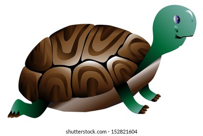 Turtle