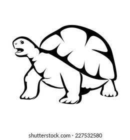 Turtle Stock Vector (Royalty Free) 227532580