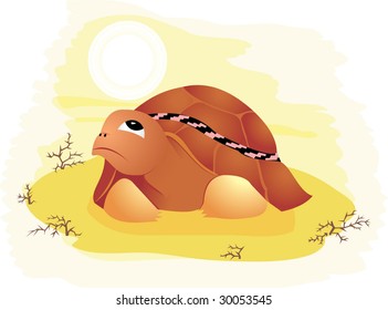 Turtle