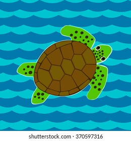 turtle
