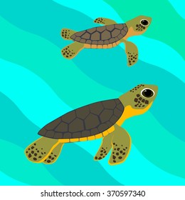 turtle