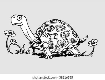 turtle
