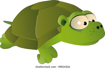 107 Box Turtle Water Stock Vectors, Images & Vector Art 