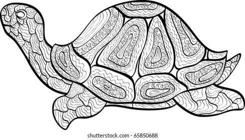 turtle