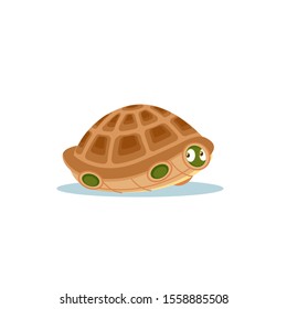 Turtle afraid to come out of its shell. Frightened, confused, embarrassed, puzzled, bewildered, discouraged, terrified, emotions in the hiding tortoise. Isolated cartoon vector clip art illustration.