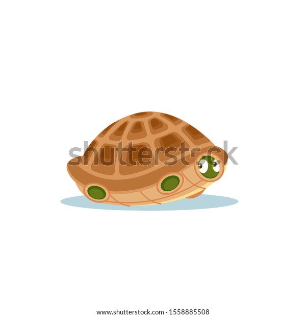 Turtle Afraid Come Out Shell Frightened Stock Vector (Royalty Free ...