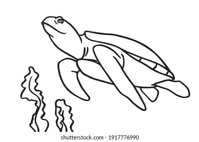 Turtle and algae in the ocean. Can be used for coloring book for kids. Vector illustration.