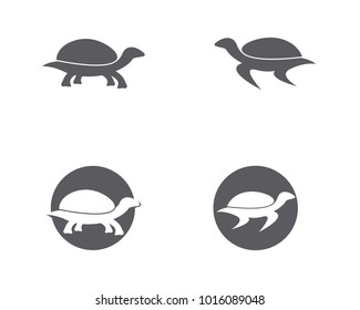 Turtle animal cartoon icon image vector illustration design