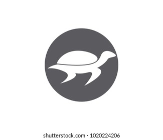 Turtle animal cartoon icon image vector illustration design