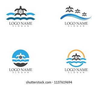 Turtle animal cartoon icon image vector illustration design
