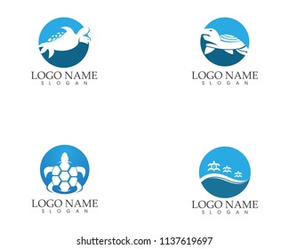 Turtle animal cartoon icon image vector illustration design
