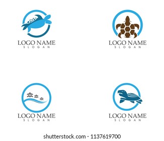 Turtle animal cartoon icon image vector illustration design
