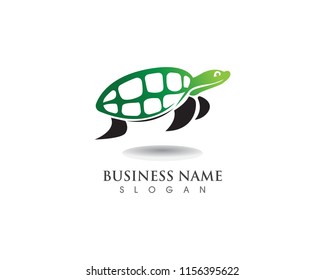 turtle animal cartoon icon image vector illustration design
