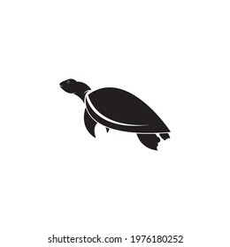 turtle animal cartoon icon image vector illustration design