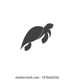 turtle animal cartoon icon image vector illustration design