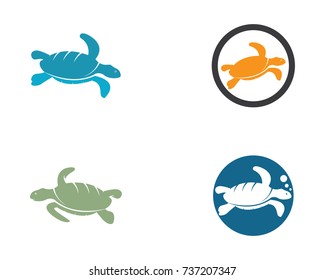 Turtle animal cartoon icon image vector illustration design