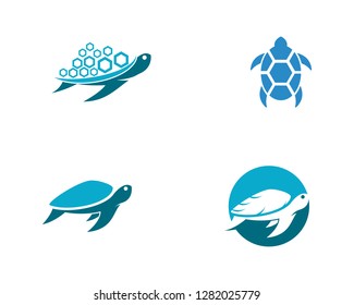 Turtle animal cartoon icon vector illustration