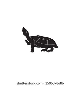 Turtle animal cartoon icon vector illustration