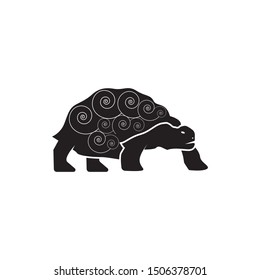 Turtle animal cartoon icon vector illustration