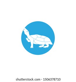 Turtle animal cartoon icon vector illustration