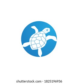 Turtle animal cartoon icon vector illustration